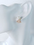 Fan Stone Earring