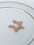 Brinco Piercing Fake Estrela